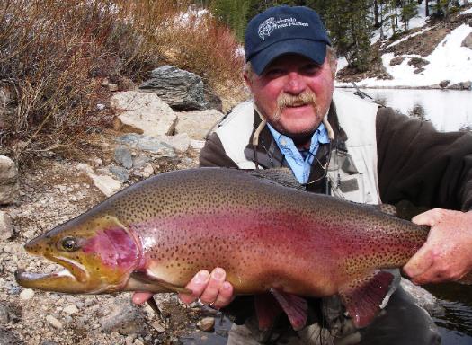 Rocky Mountain Trout Candy Fly Fishing Fly