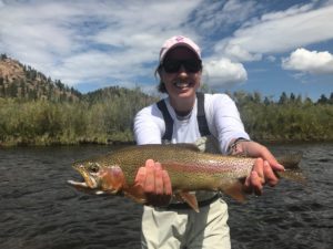 Trophy Trout from the South Platte at Deckers.