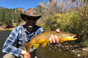 A trophy Deckers brown trout caught on a dry fly.