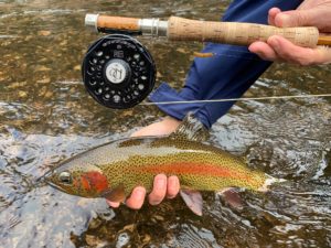 Colorado made fly fishing reel and trout!