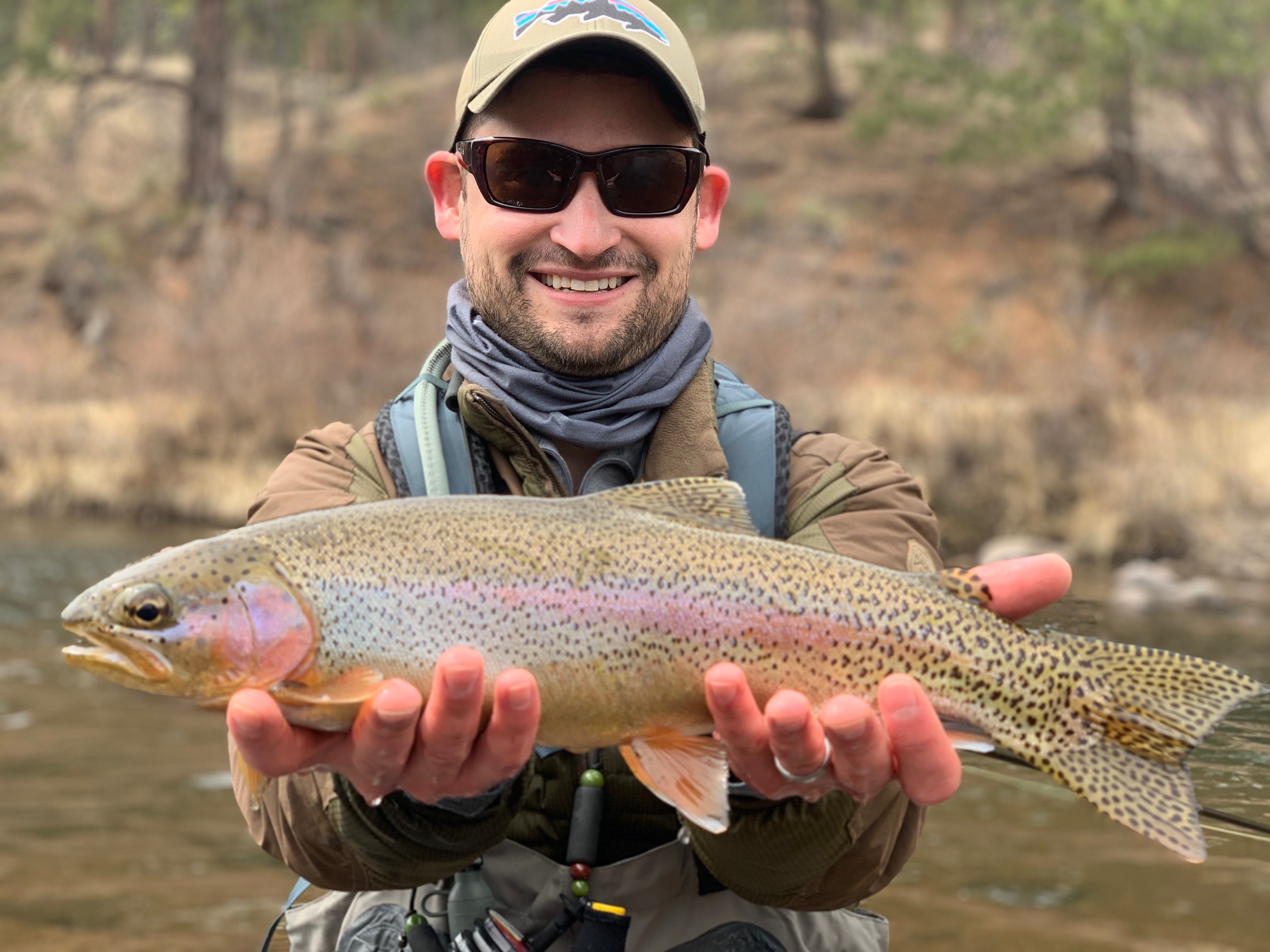 Perfect wild trout from the South Platte River.