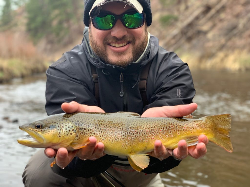 Deckers brown trout from a guided fly fishing trip.