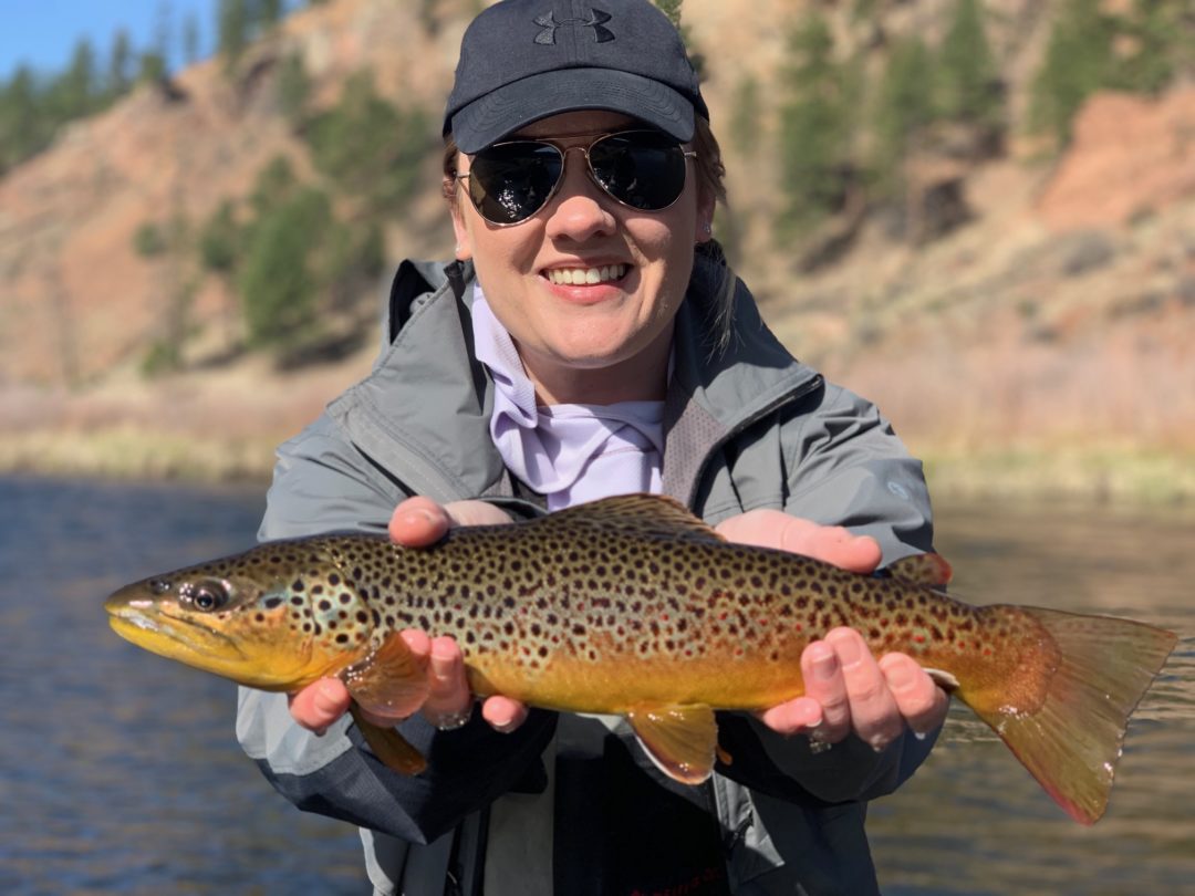 South Platte River Cheesman Canyon & Deckers River Guided Fly Fishing