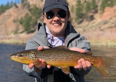Trophy Brown Trout from the South Platte near Deckers