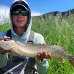Colorado Pike on the fly