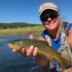 South Platte brown trout from a guided fly fishing trip.