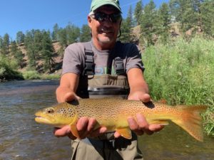 Wild brown trout from the South Platte near Deckers.