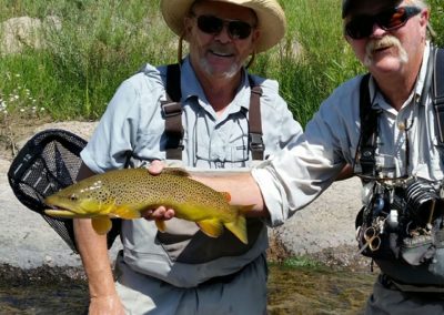 South Platte guide Fred Gray with a great wild brown trout.