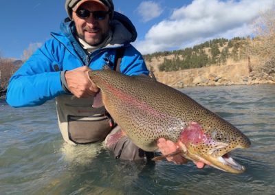 Jim Keller with a thick rainbow trout from a guided fly fishing trip.