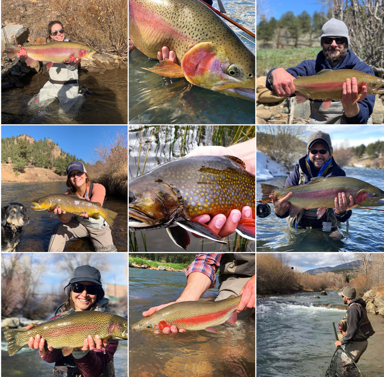 colorado trout fishing trip