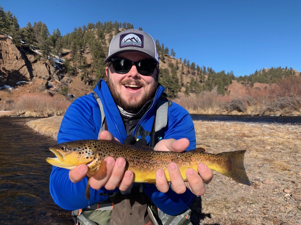 Awesome brown trout from a winter guided fly fishing trip near Denver.