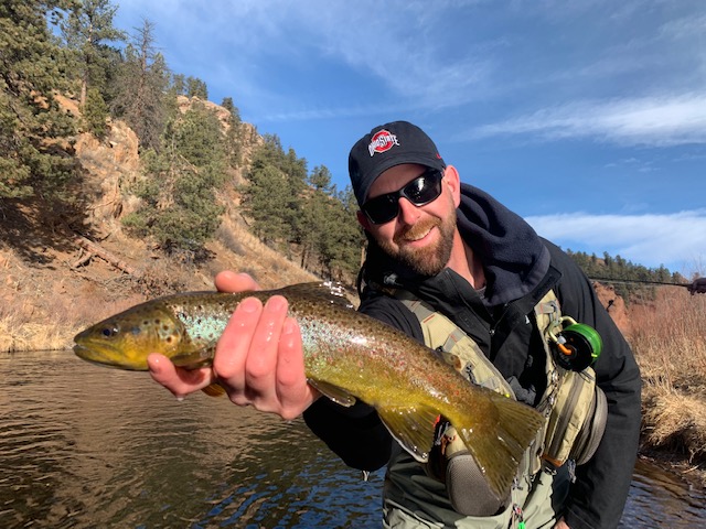 Winter brown trout from the South Platte near Deckers