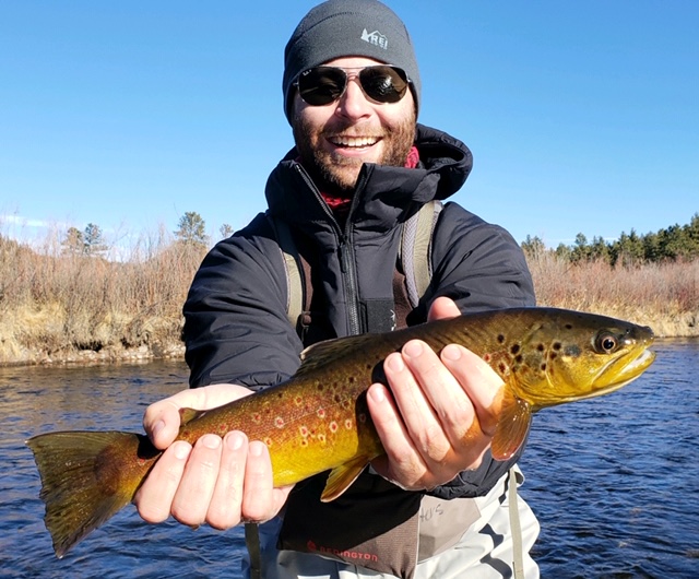 Cool wild brown trout landed near Denver Colorado!