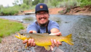 Big Brown Trout from the South Platte River near Deckers