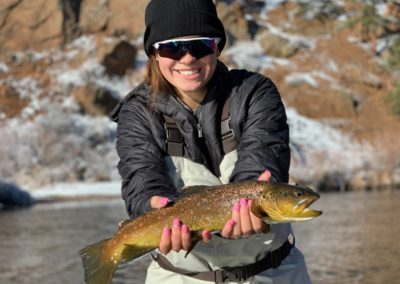 Winter guided fly fishing trips on the South Platte River