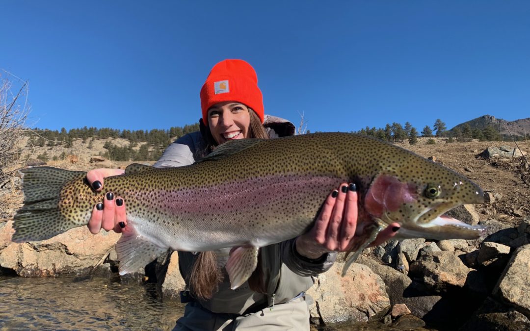 Spring Fly Fishing Report