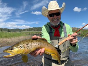 Wild brown trout on a dry fly from a guided fly fishing trip to Abell River Ranch