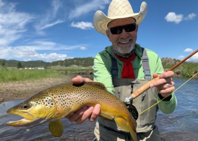 Wild brown trout on a dry fly from a guided fly fishing trip to Abell River Ranch