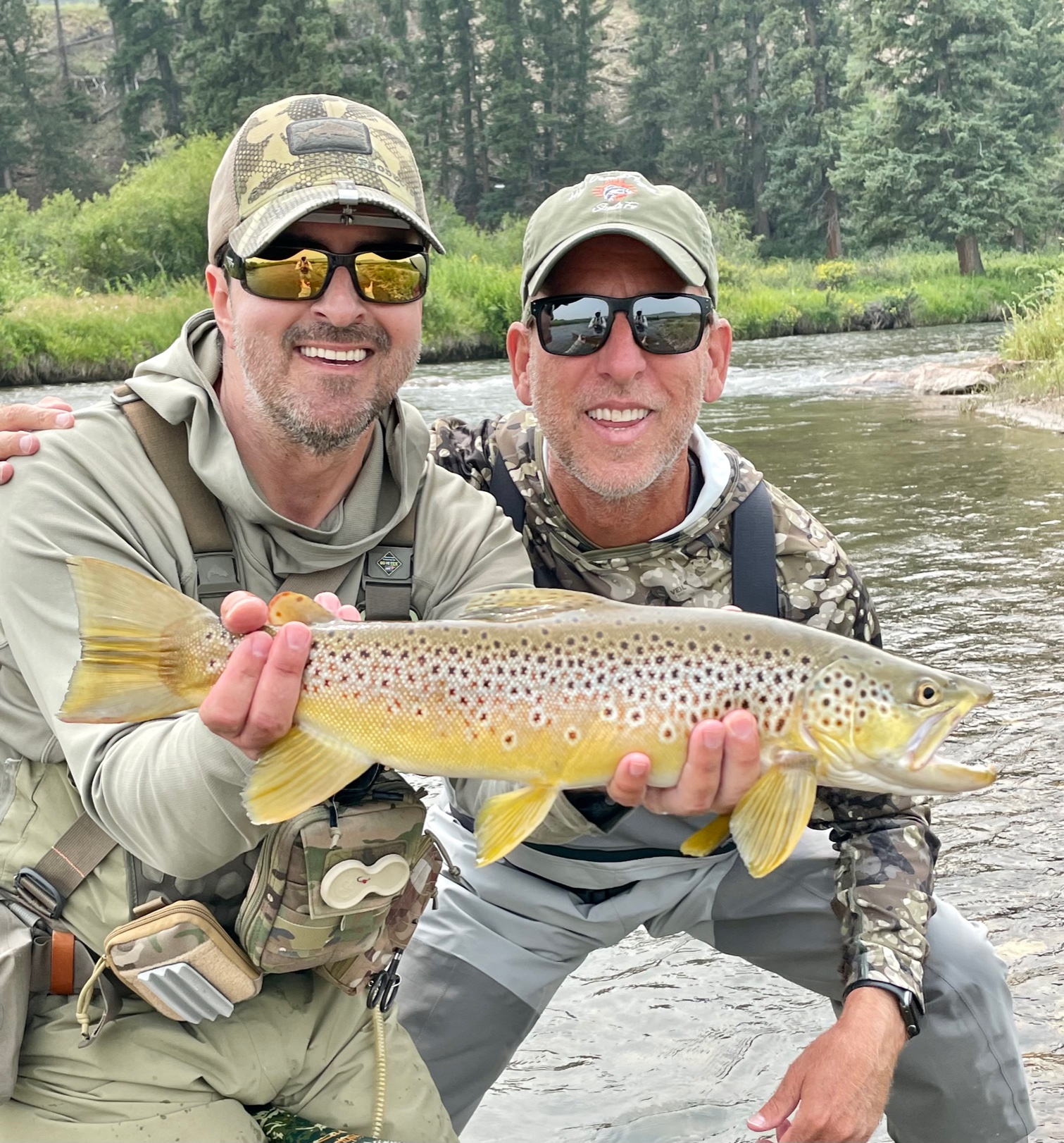Trophy brown trout from the middle fork of the South Platte.
