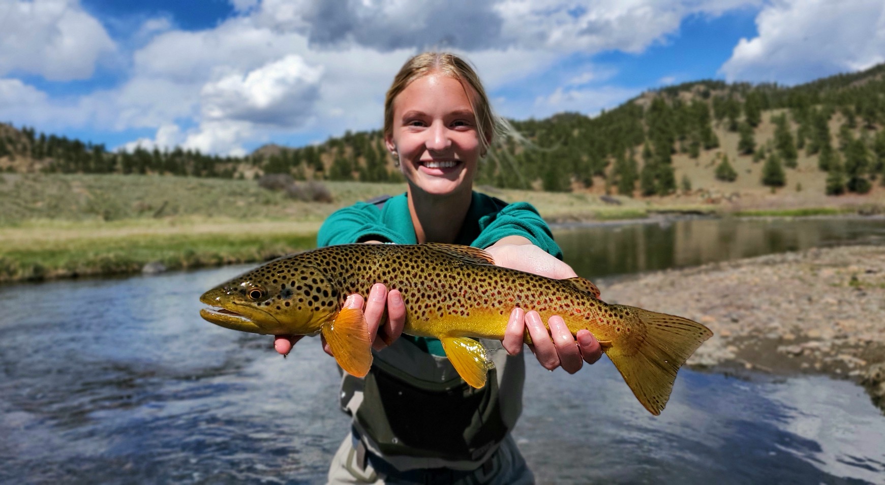 Trophy Brown Trout from guided fly fishing at Abell River Ranch