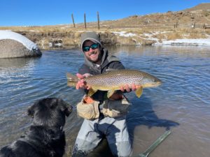 Colorado Trout Hunters owner Danny Frank with a big dream stream brown trout