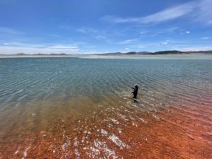 Antero Reservoir fly fishing at Ice Off
