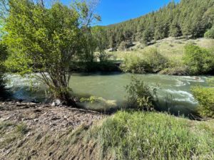Silver Tip Ranch guided fly fishing
