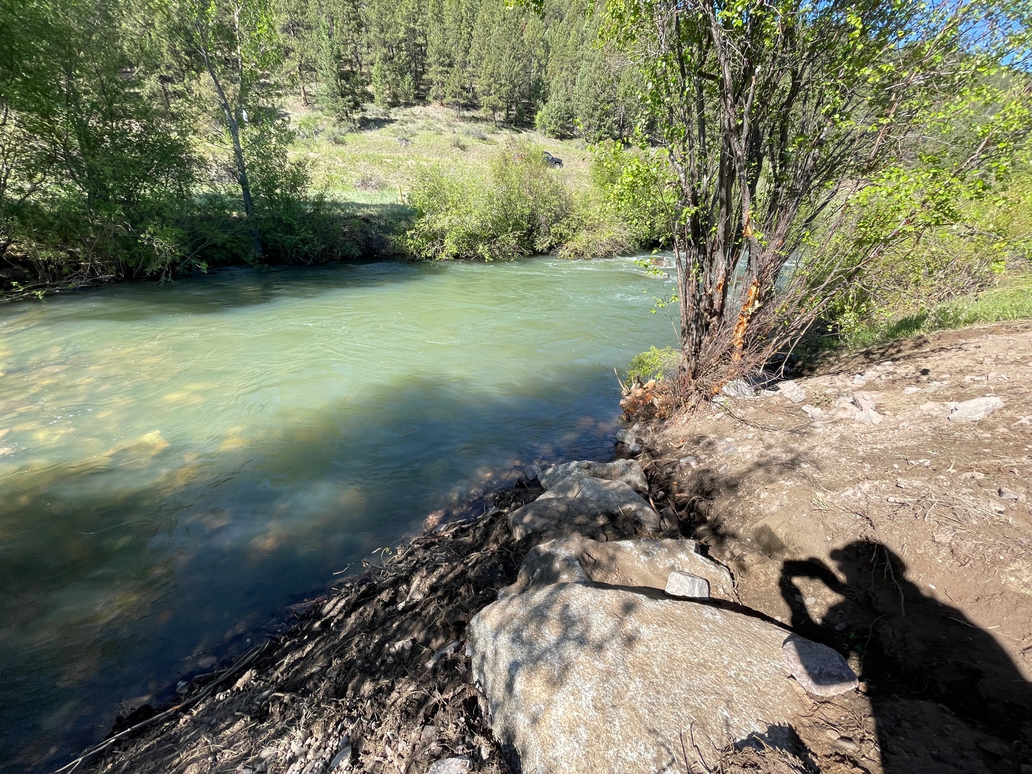 Trophy Trout habitat on Silver Tip Ranch