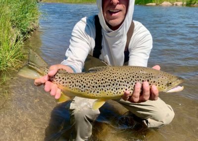 Giant brown trout from the upper South Platte