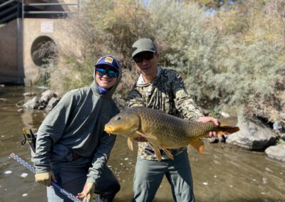 Big carp from the Denver South Platte