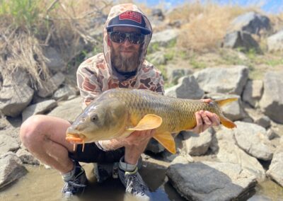 Carp from a guided fly fishing trip in Denver.