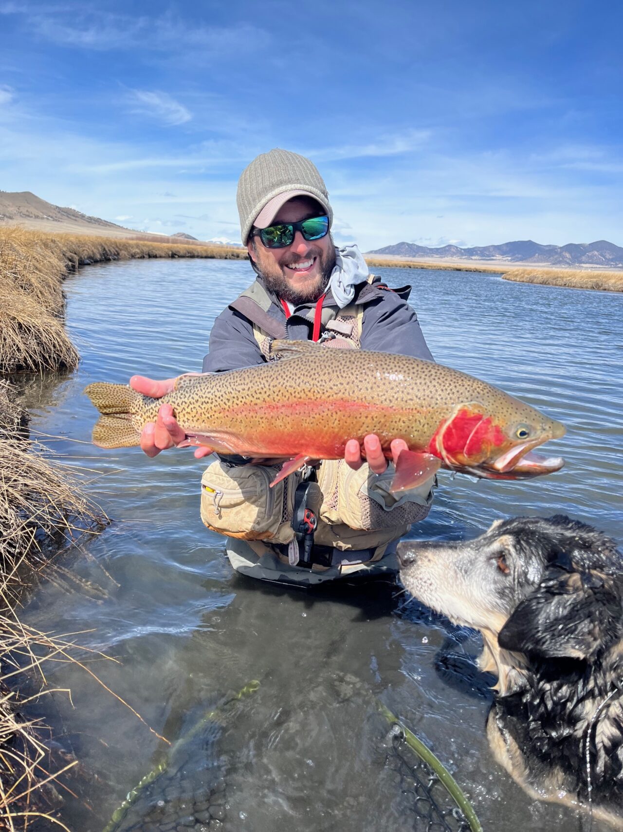 Dream Stream Fishing Report - Colorado Trout Hunters