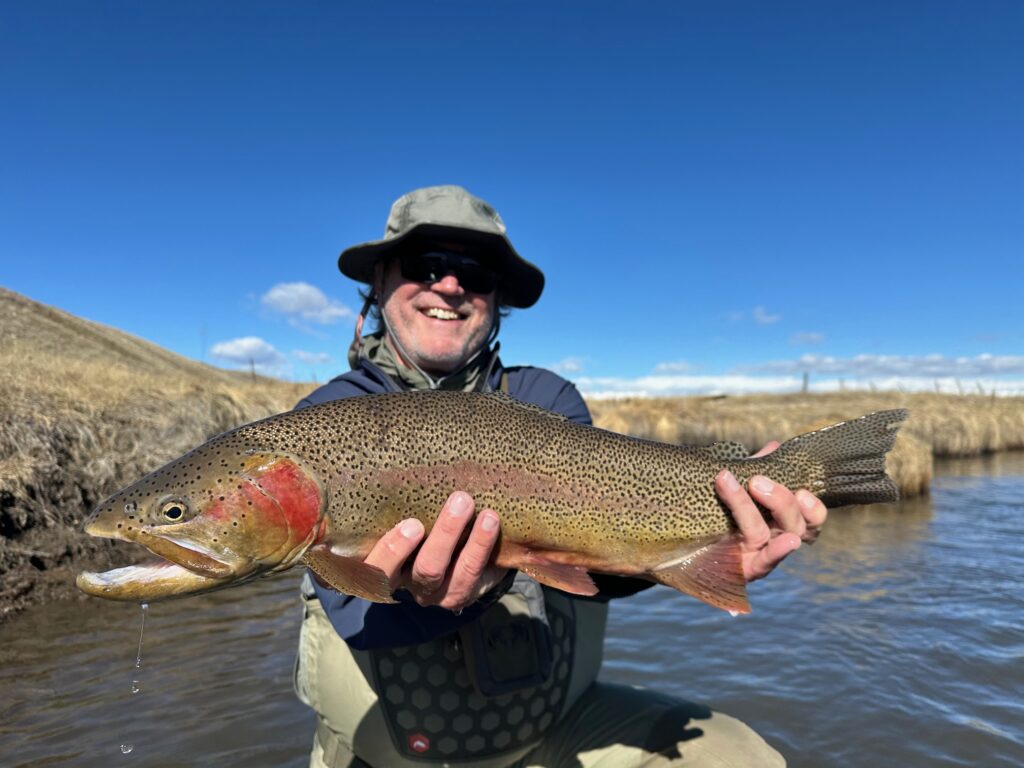 Giant cut bow trout from South Park Colorado.