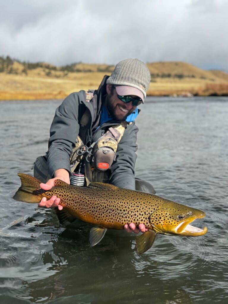 Huge Dream Stream Brown Trout landed by guide Danny Frank
