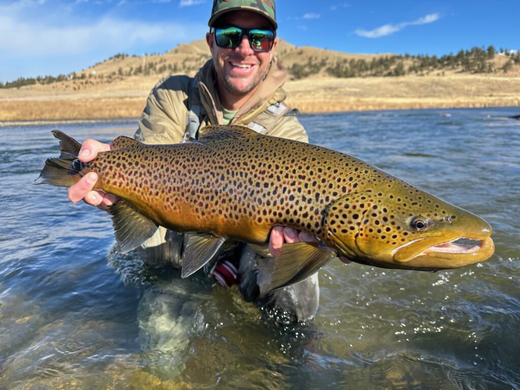 Colorado Trout Hunters guide Matt Sandersen with a giant Dream Stream Brown Trout