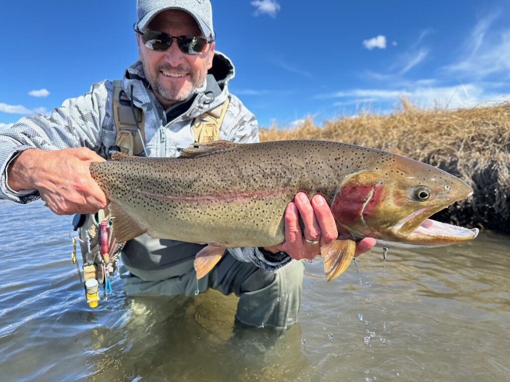Big fishing landed on a Spring guided fly fishing trip to the Dream Stream.