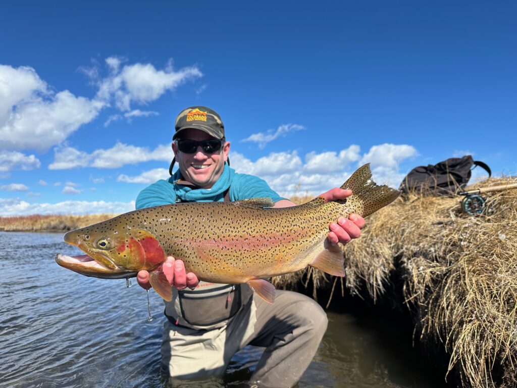 Big spring trout landed on a guided fly fishing trip with Danny Frank