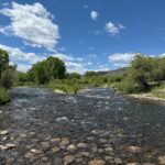 Dry Fly Paradise on the Williams Fork River