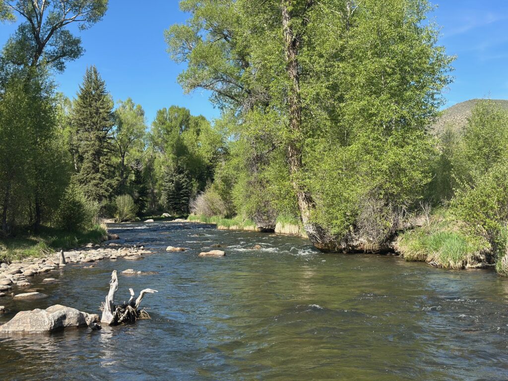 Guided Fly Fishing on the Williams Fork Tailwater