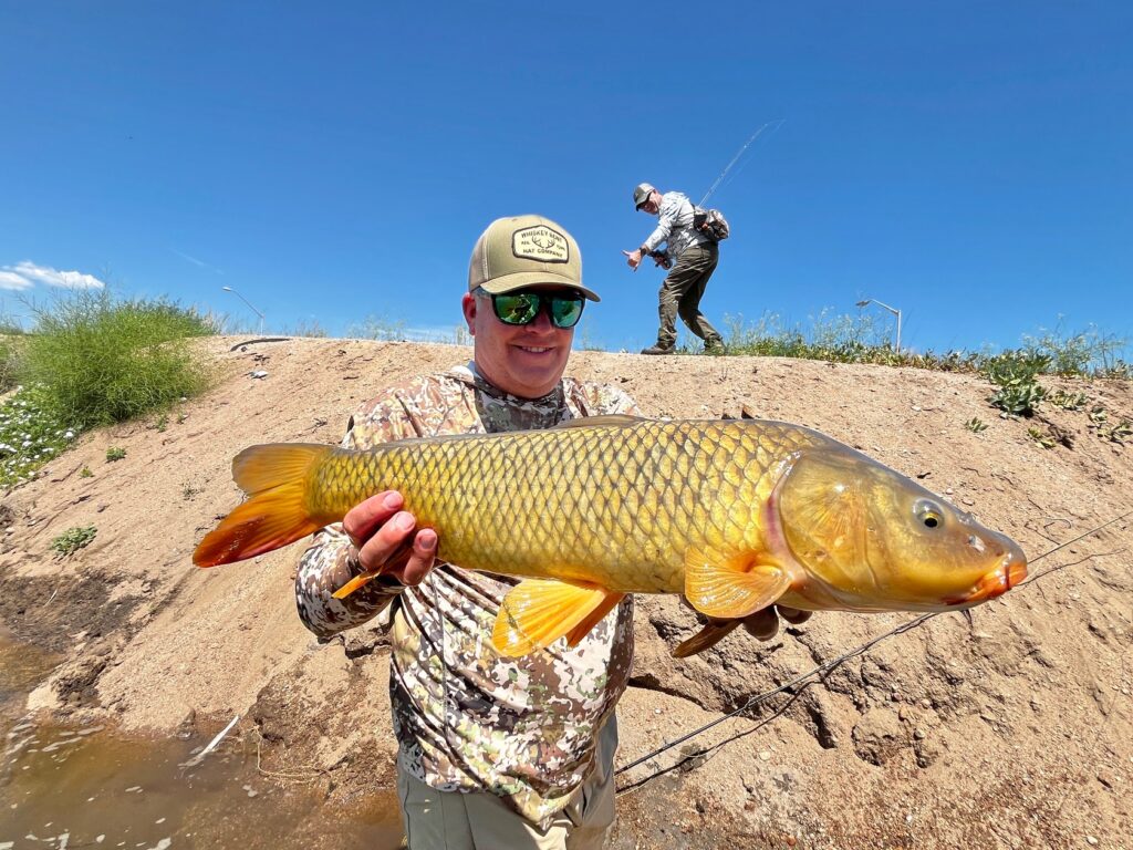 Guided fly fishing trips with Rick Mikesell on the Denver South Platte