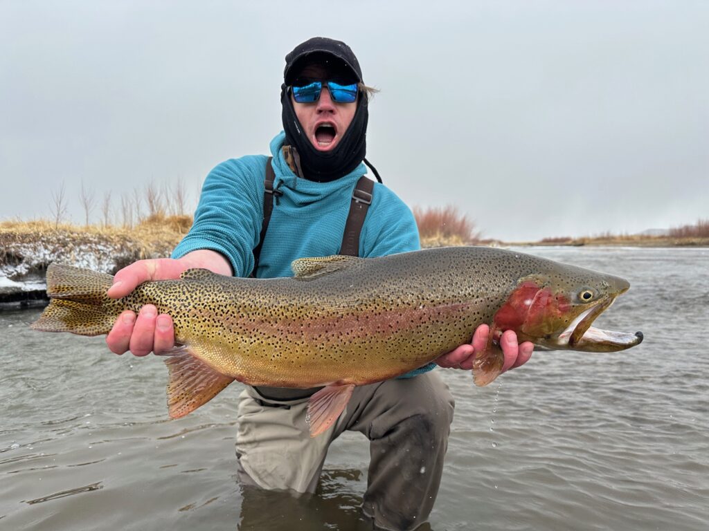 Huge trout landed with on a guide trip with Danny Frank