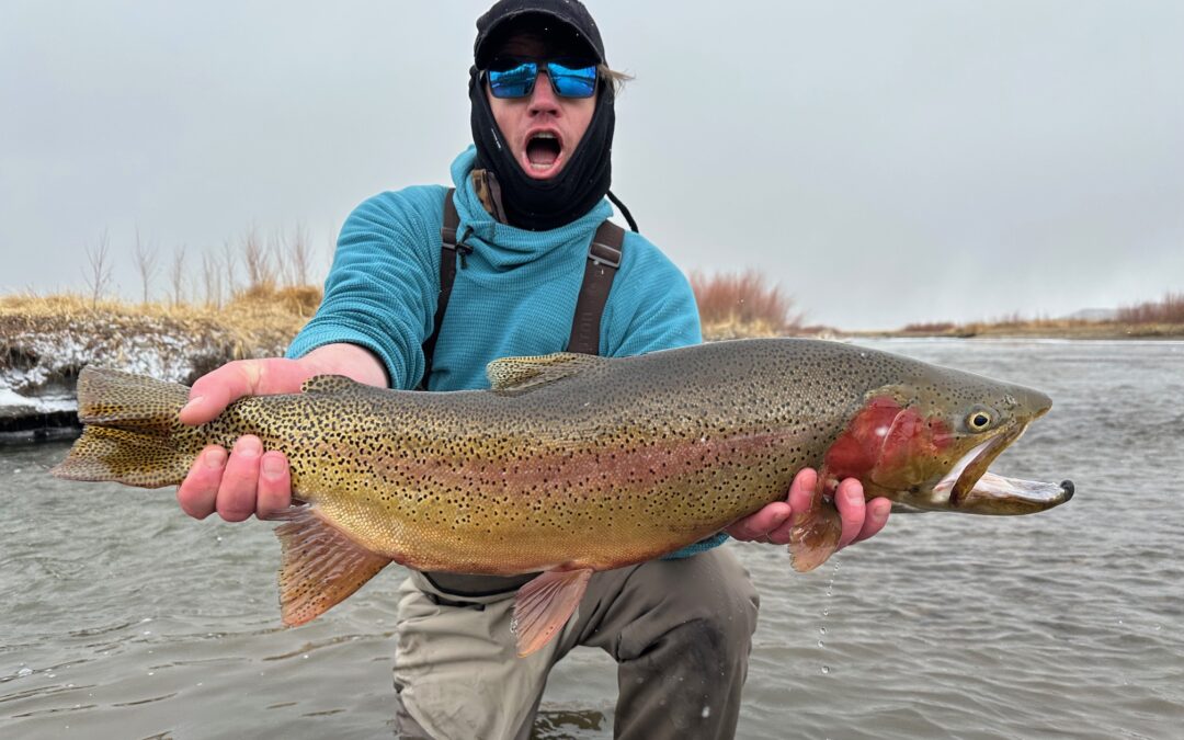 Trophy Trout Trips