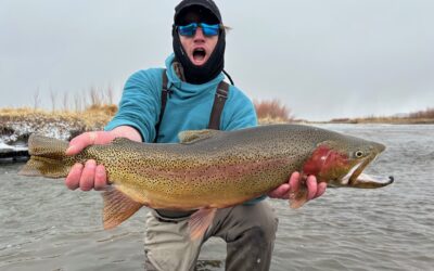 Trophy Trout Trips