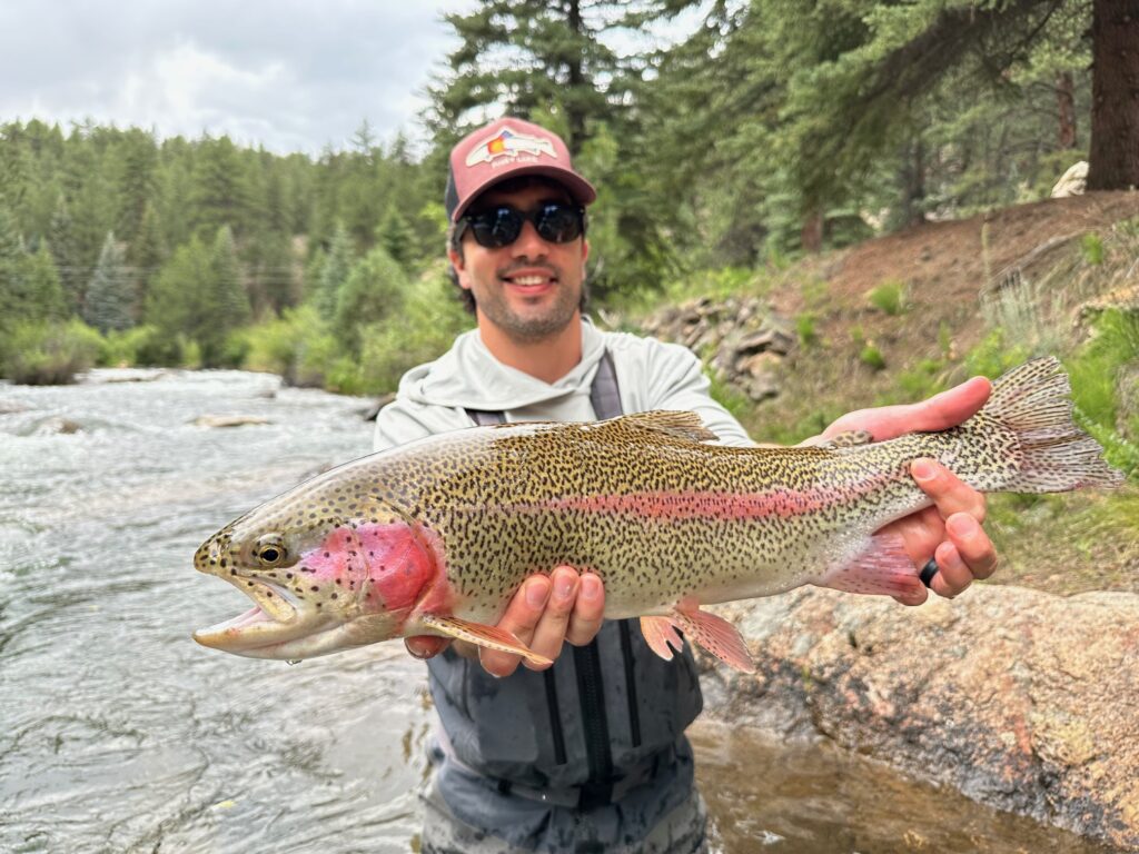 Big Rawhide Rainbow from a corporate fly fishing trip near Denver
