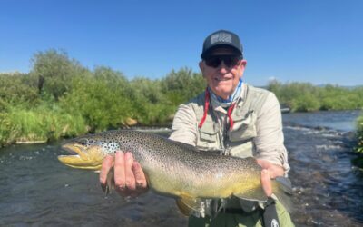 2025 Mid Season Highlights