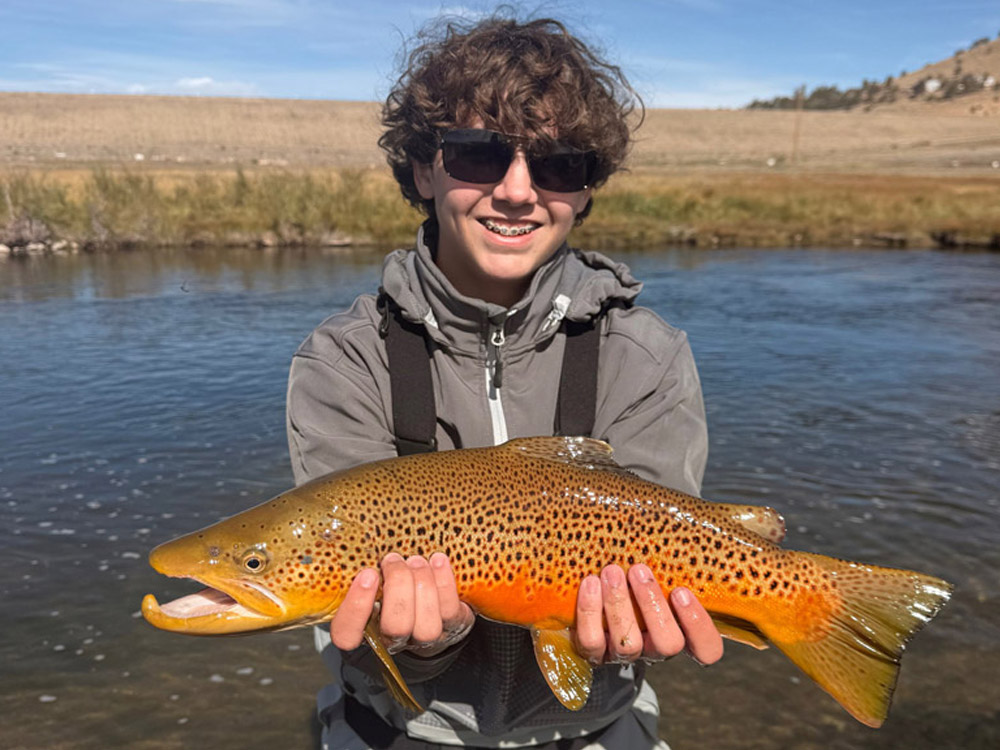 Dream_First_fish_giant_Matt2