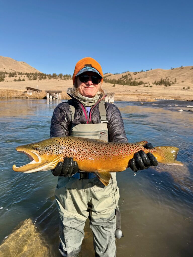 Giant Fall Brown Trout with Matt Sandersen