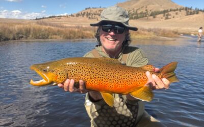 Fall Dream Stream Report