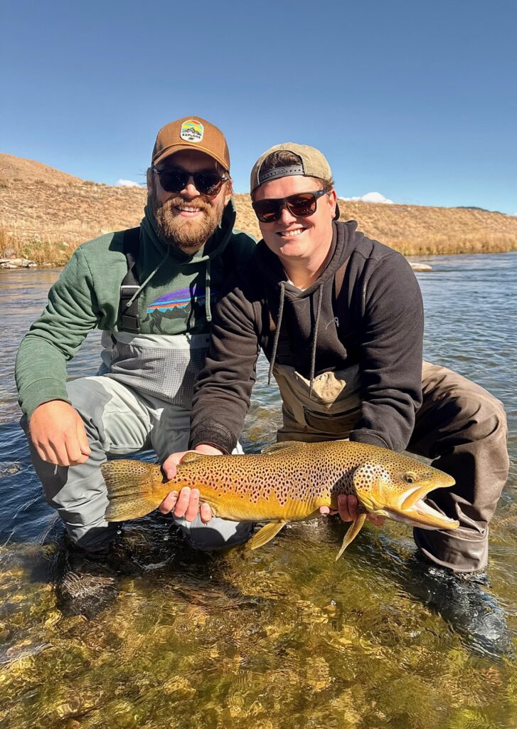 Huge fall brown trout on a guided fly fishing trip to the Dream Stream.