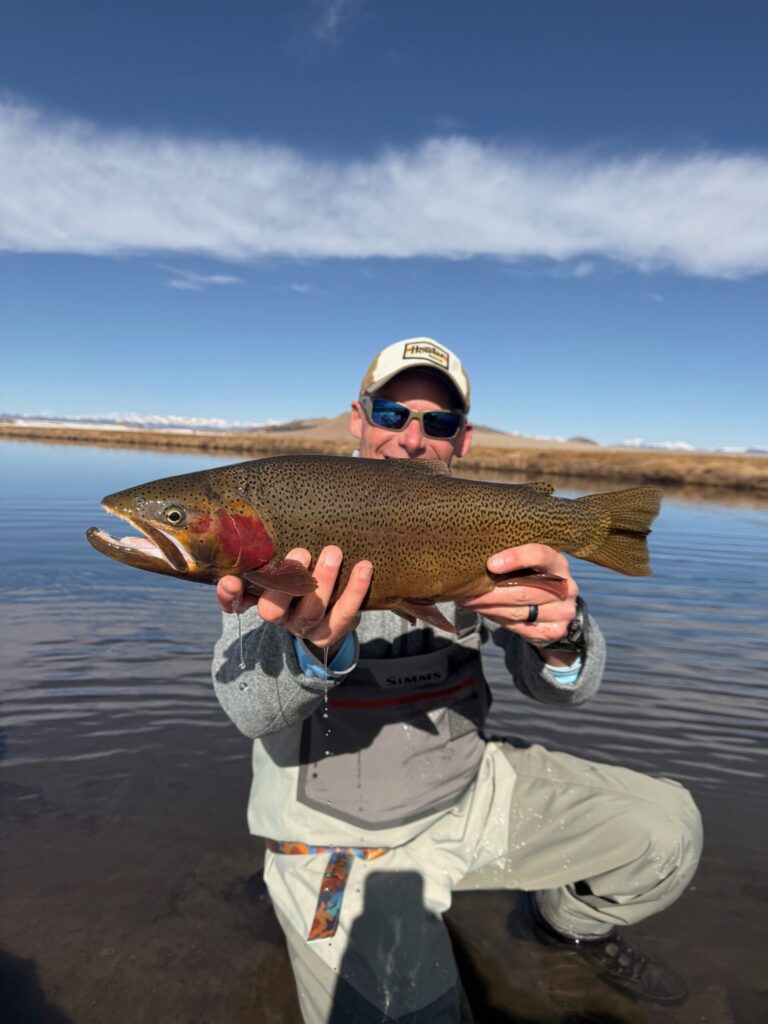 Big Dream Stream migratory fish.